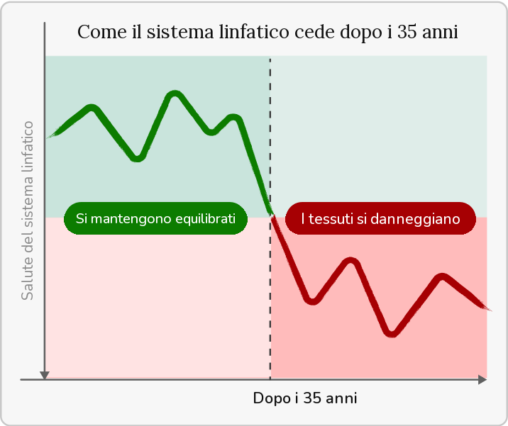 Come il sistema linfatico cede dopo i 35 anni